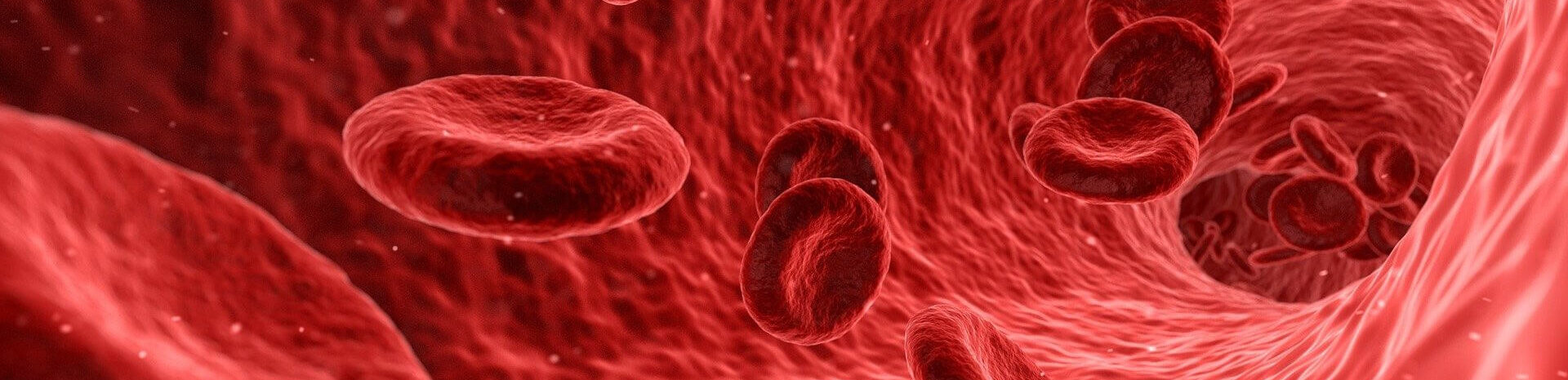 Rote Blutkörper Hypnose Mannheim Andullation