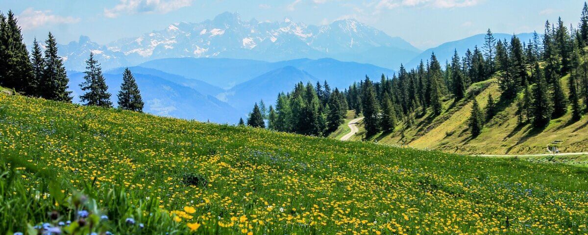Gedankenhygiene Mentale Klarheit Innere Ruhe Gedanken aufräumen Negativität loswerden Kopf freibekommen Stress abbauen lernen